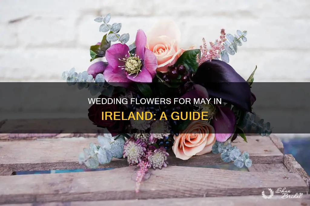 may wedding flowers ireland