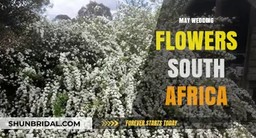 South African May Wedding Flowers: A Guide