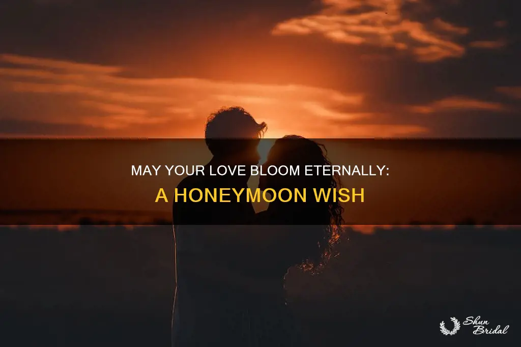 may your honeymoon last forever