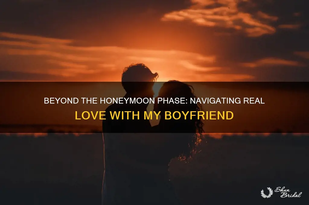 me and my boyfriend have passed the honeymoon phase