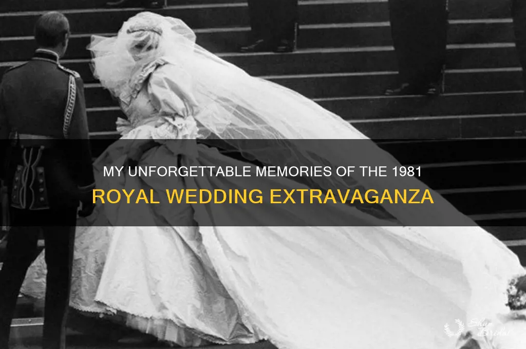 me and the 1981 royal wedding