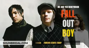 Fall Out Boy's 'Me & You' Honeymoon: A Love Story Unravels