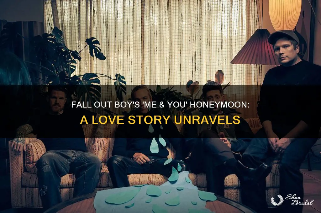 me and you honeymoon fall out boy