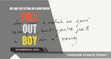 Honeymoon: A Fall Out Boy Experience