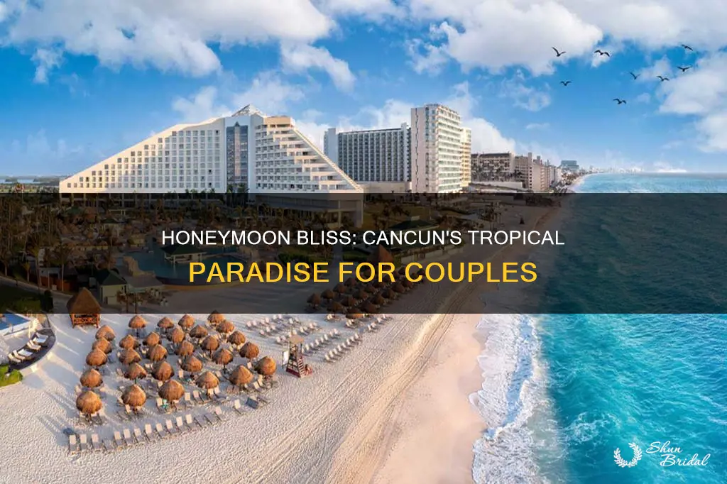 me cancun honeymoon packages