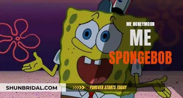 SpongeBob's Honeymoons: A Memorable Adventure