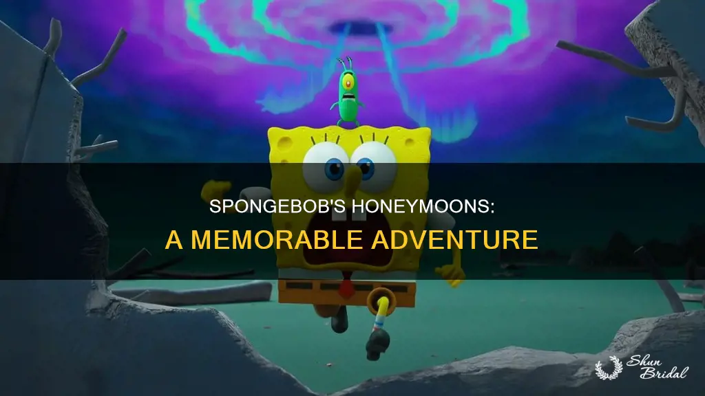 me honeymoon me spongebob