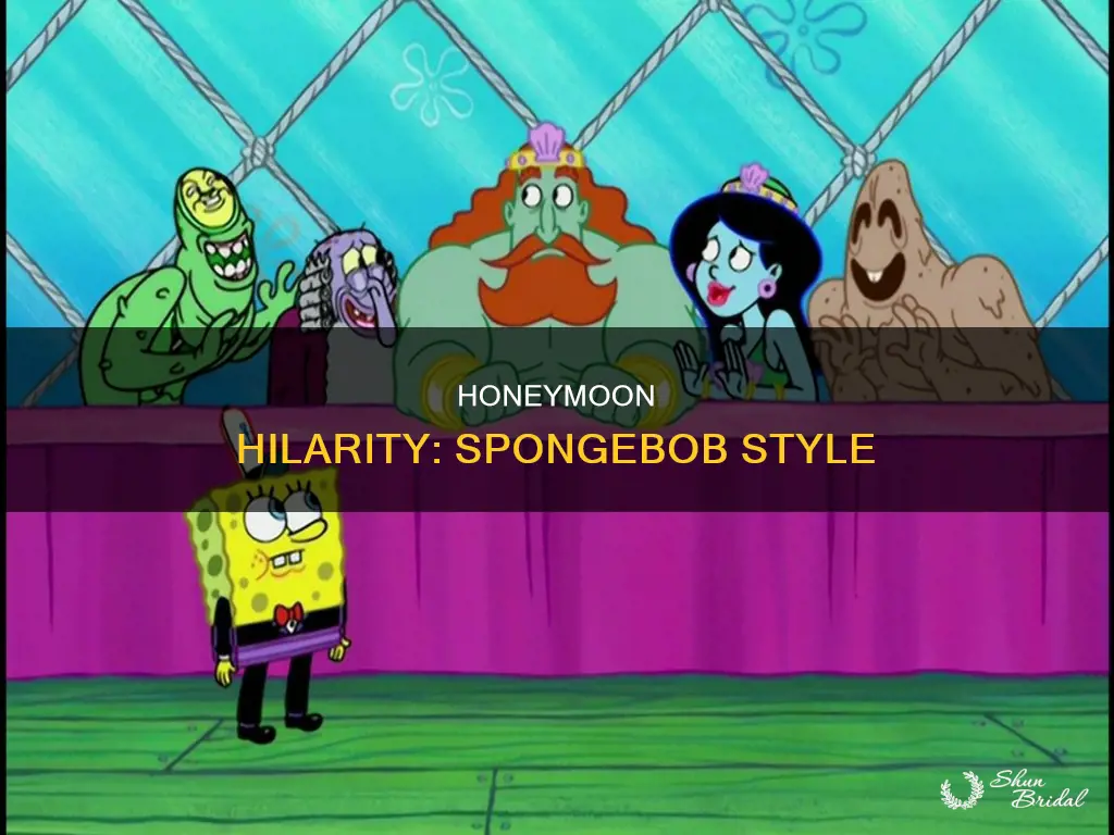 me honeymoon me spongebob