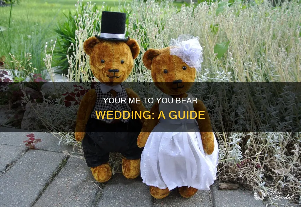 me to you bear wedding planner