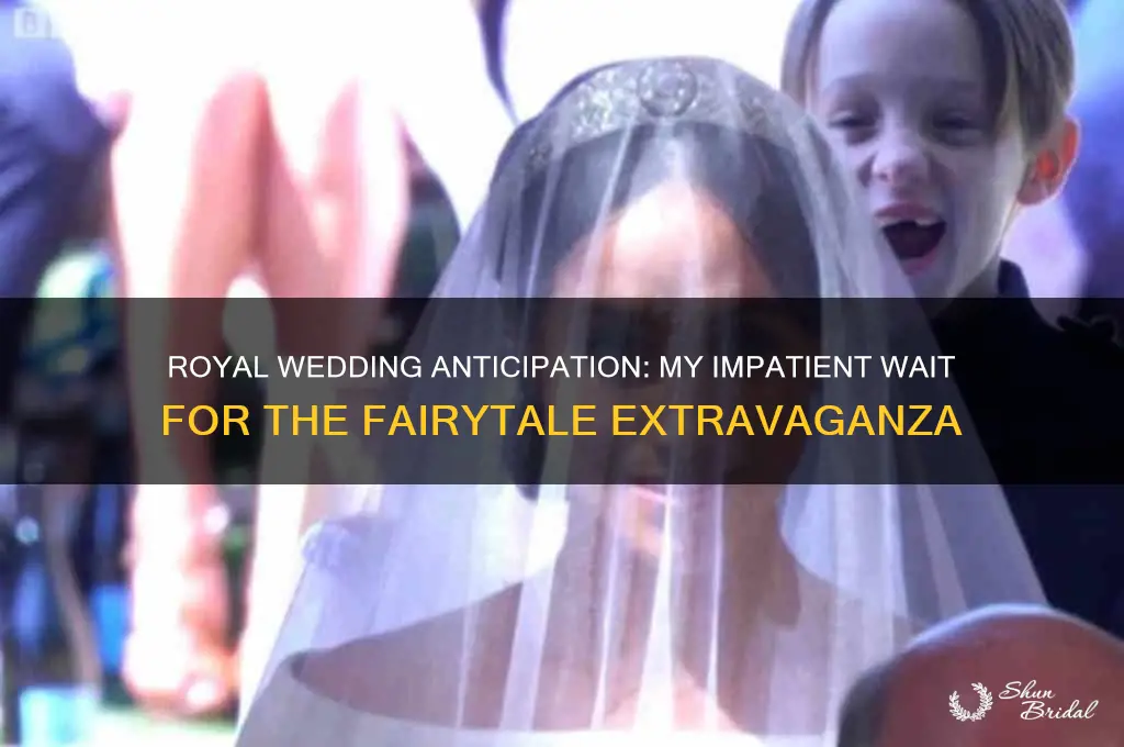 me waiting for the royal wedding like