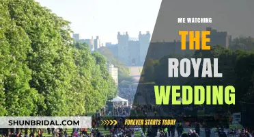 Royal Romance: My Front-Row Couch Experience at the Royal Wedding
