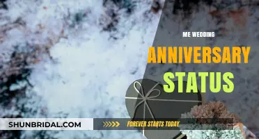 Celebrating Our Love: Heartfelt Wedding Anniversary Status Ideas