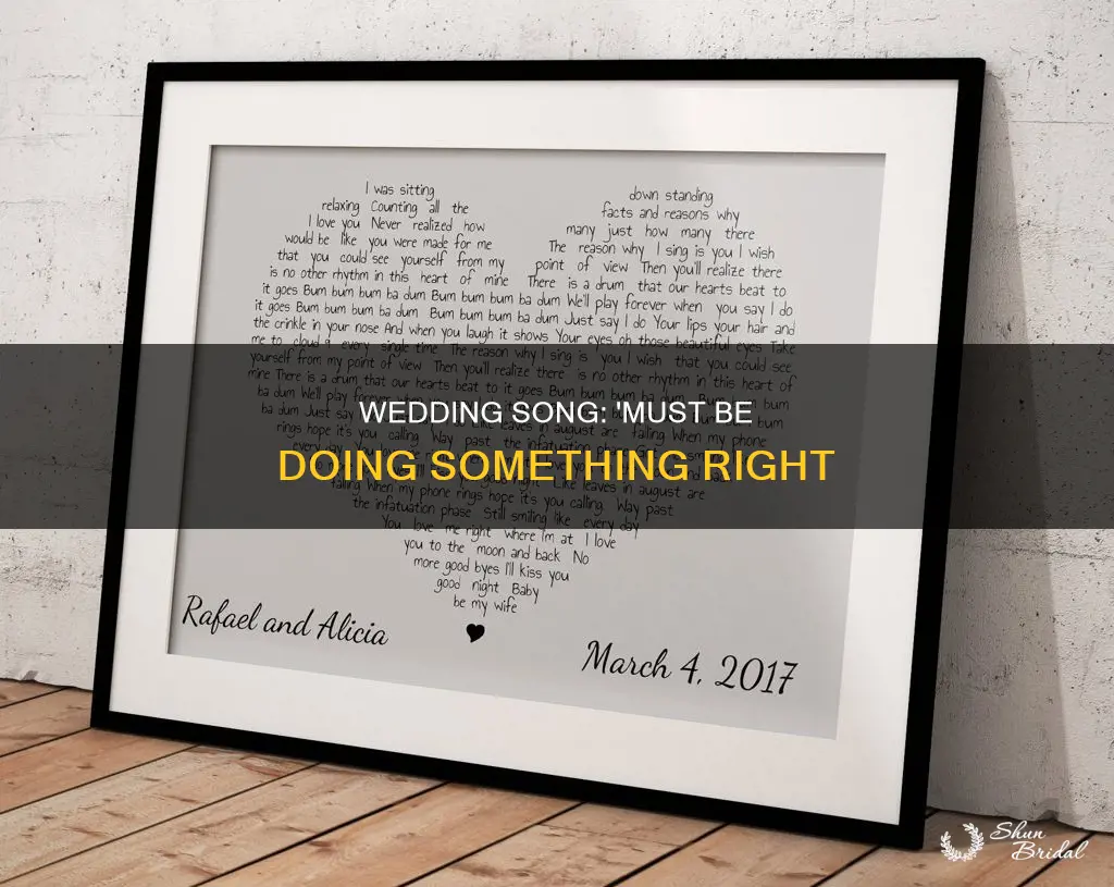 must be doing something right wedding song