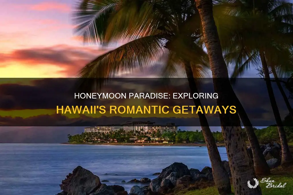 must do hawaii honeymoon