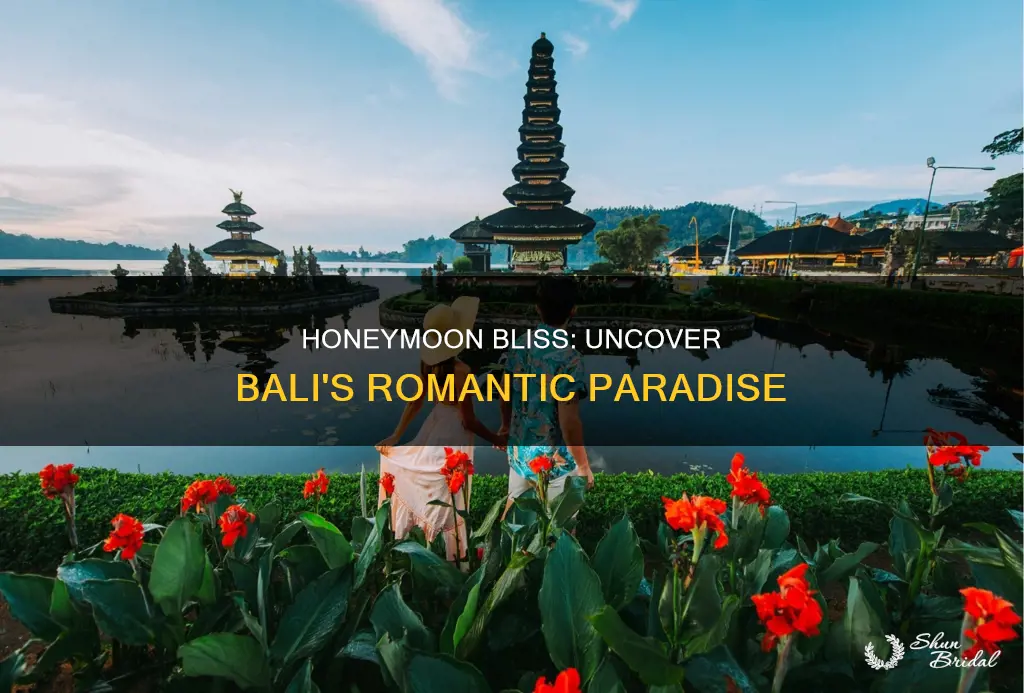 must do in bali for honeymoon