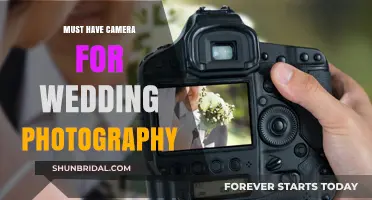 Best Cameras for Capturing Wedding Moments