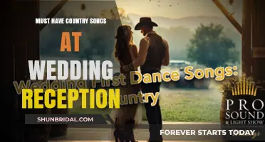 Country Songs for a Perfect Wedding Reception