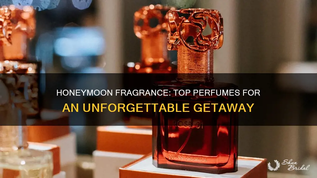 must have perfumes on honeymoon