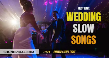 Slow Songs for Your Wedding: Essential Tunes for Romance