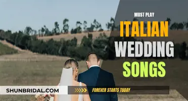 Italian Wedding Songs: Tunes to Make Your Day Magical