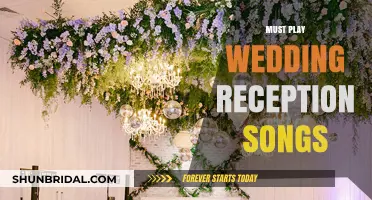 Wedding Reception: Songs to Get the Party Started