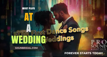 Essential Wedding Playlist: Timeless Tunes to Celebrate Your Special Day
