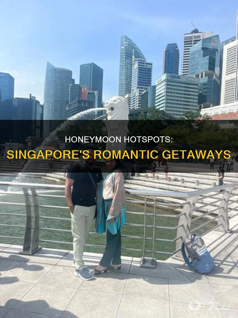must visit places for honeymoon in singapore