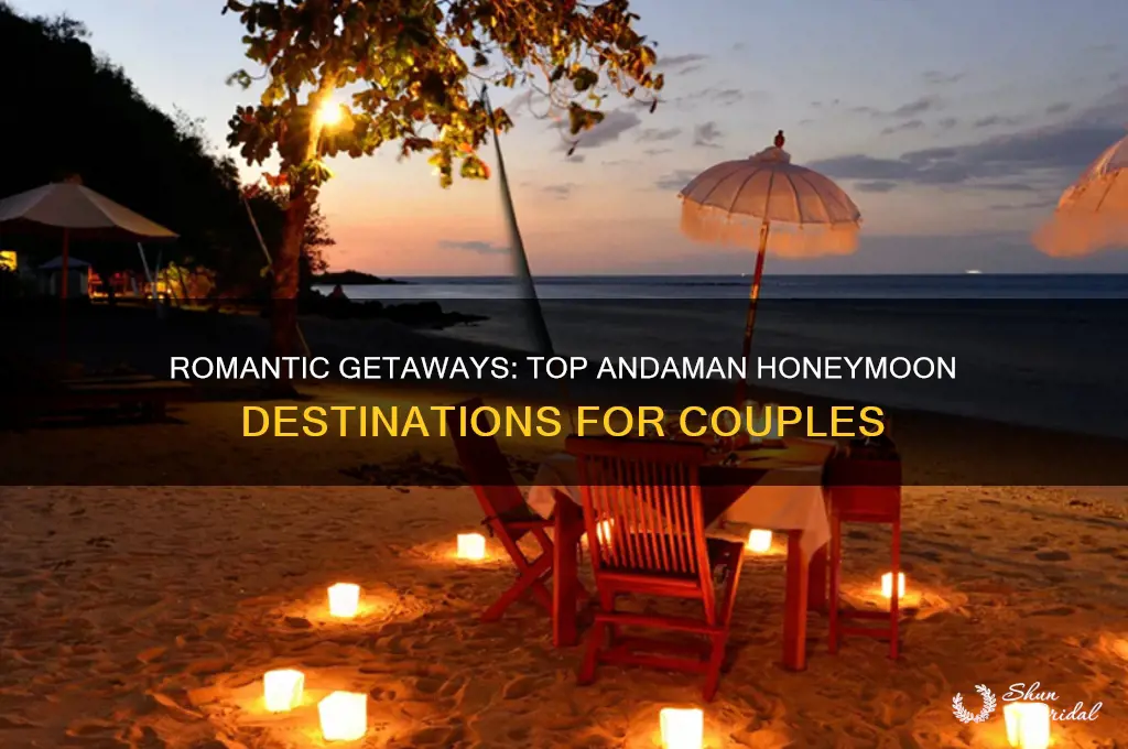 must visit places in andaman for honeymoon