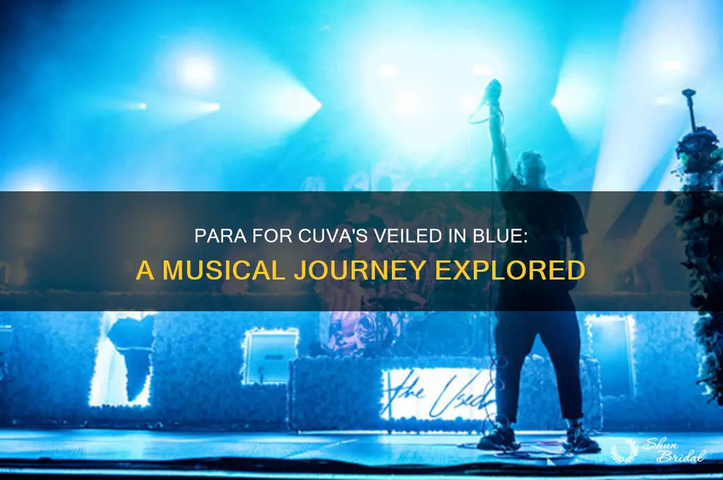 para for cuva veiled in blue blogspot