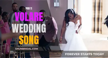 Por Ti Volare": A Song for Your Wedding Da