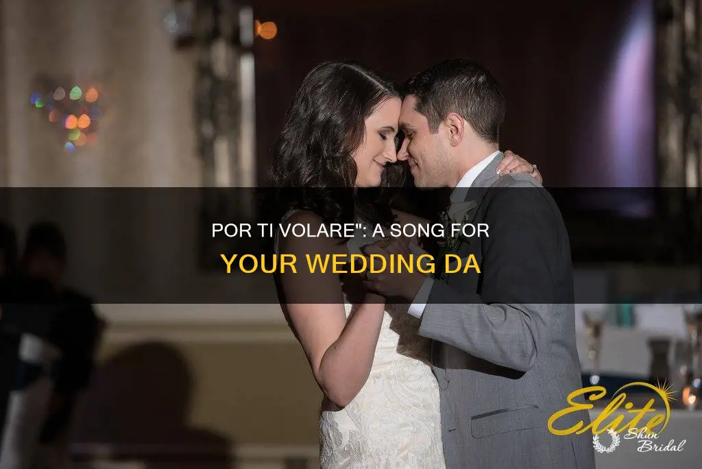 por ti volare wedding song