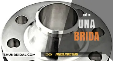 Descubre el Fascinante Mundo de las Bridas: Una Guía Completa