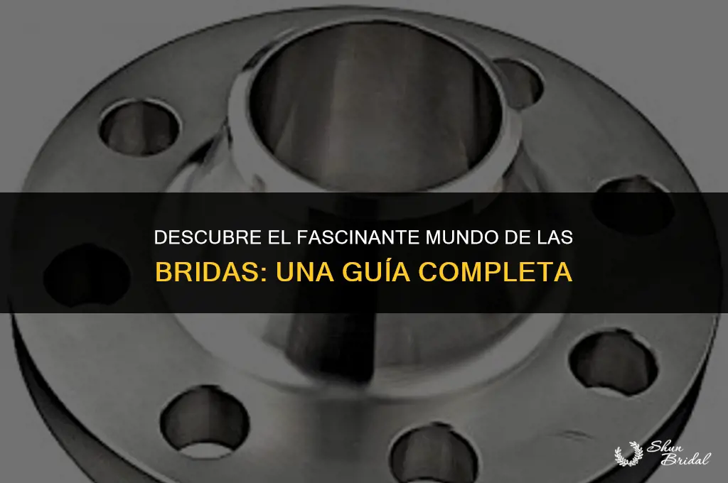 qué es una brida