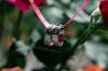 ring bearer