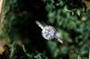 ring bearer