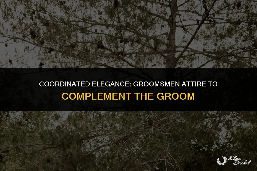 should groomsmen match the groom