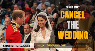 Harry's Dilemma: Cancel the Wedding?