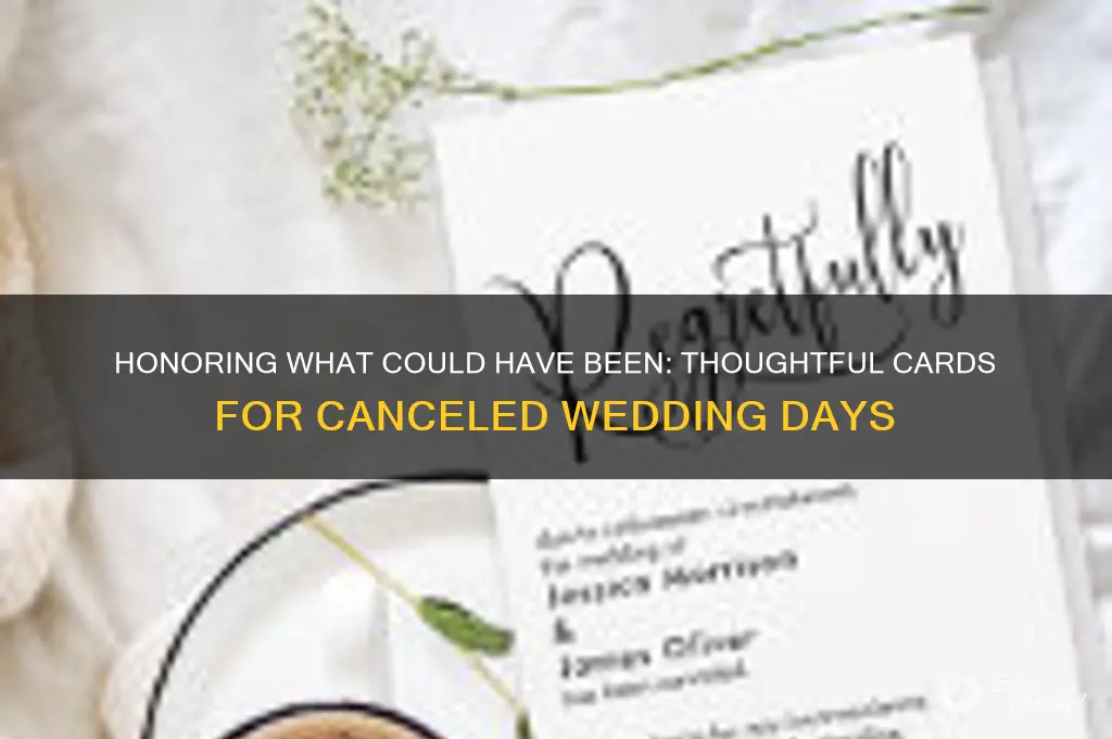 should have been wedding day card