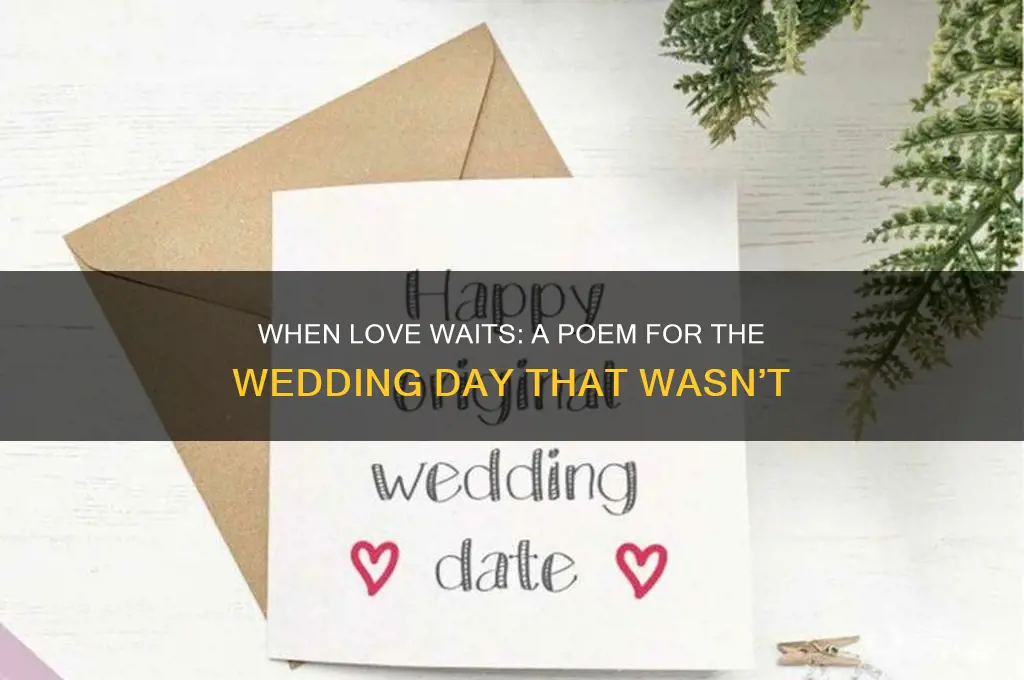 should have been your wedding day poem