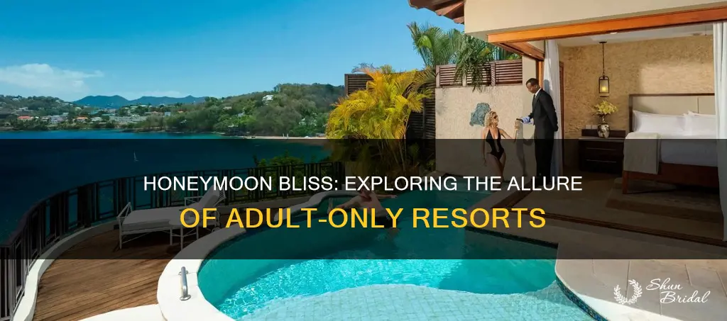 should I book an adults only resort for my honeymoon