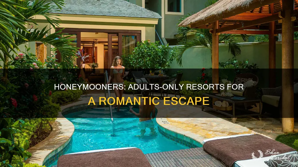 should I book an adults only resort for my honeymoon