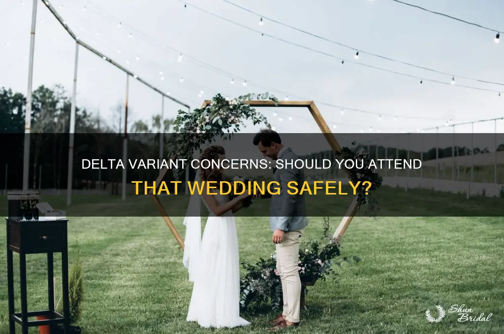 should I go to a wedding delta variant