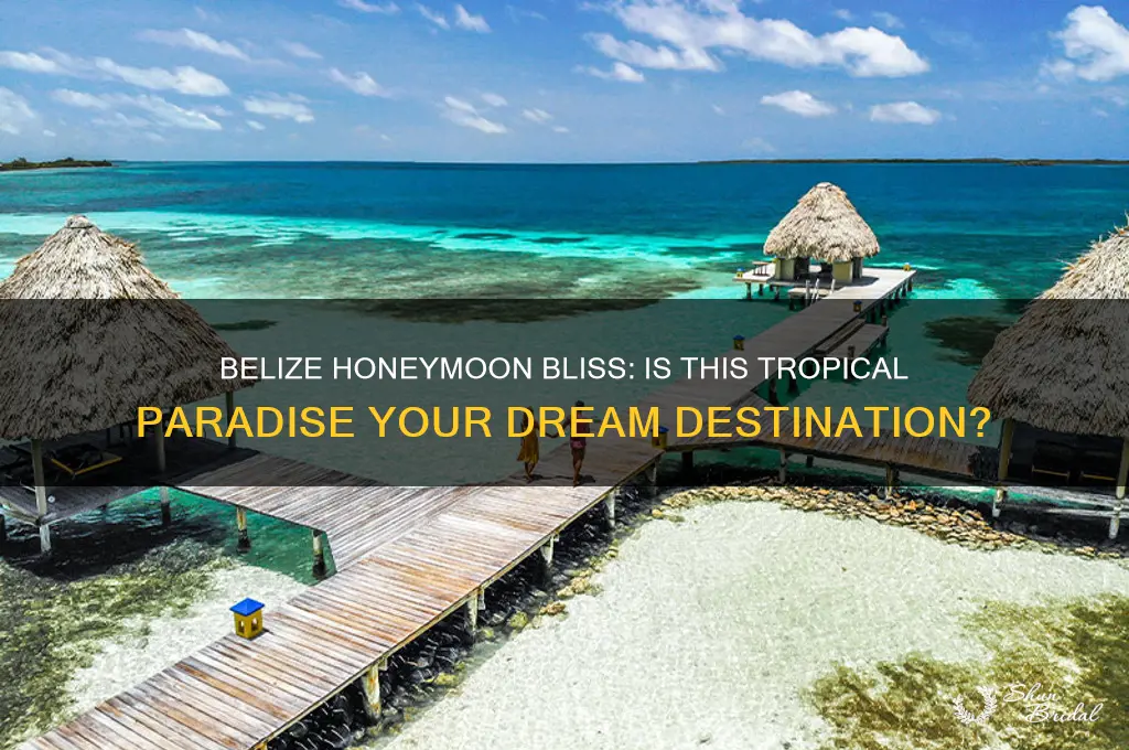 should i go to belize for honeymoon