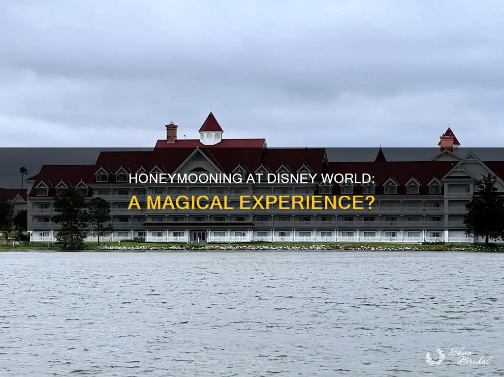 should I honeymoon at disney world