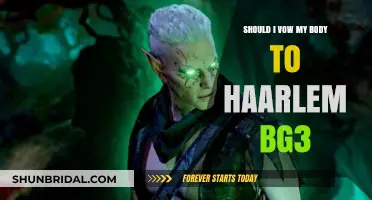 Vowing Your Body to Haarlem in BG3: A Moral Dilemma