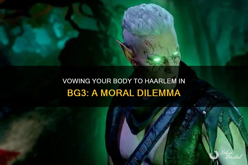 should i vow my body to haarlem bg3