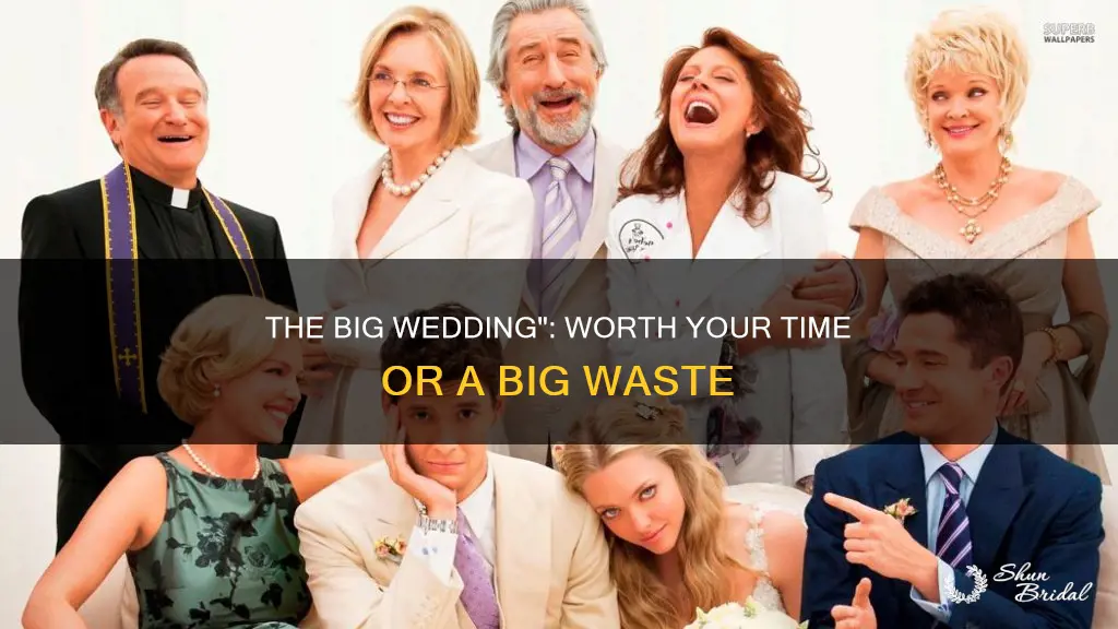 should I watch the big wedding