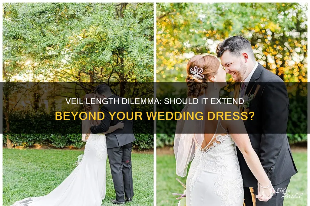 should my veil be longer than my dress