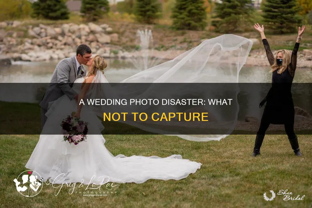 should not have taken this wedding photo