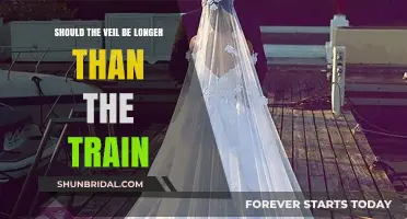 Veil vs. Train: Striking the Perfect Bridal Balance for Elegance